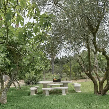 Kır Evi Suena La Brena Barbate